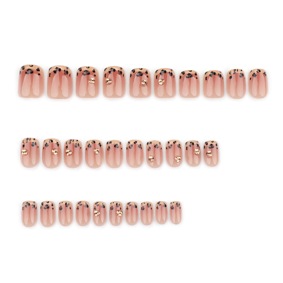 Maillard Leopard French 30-piece press-on nail set