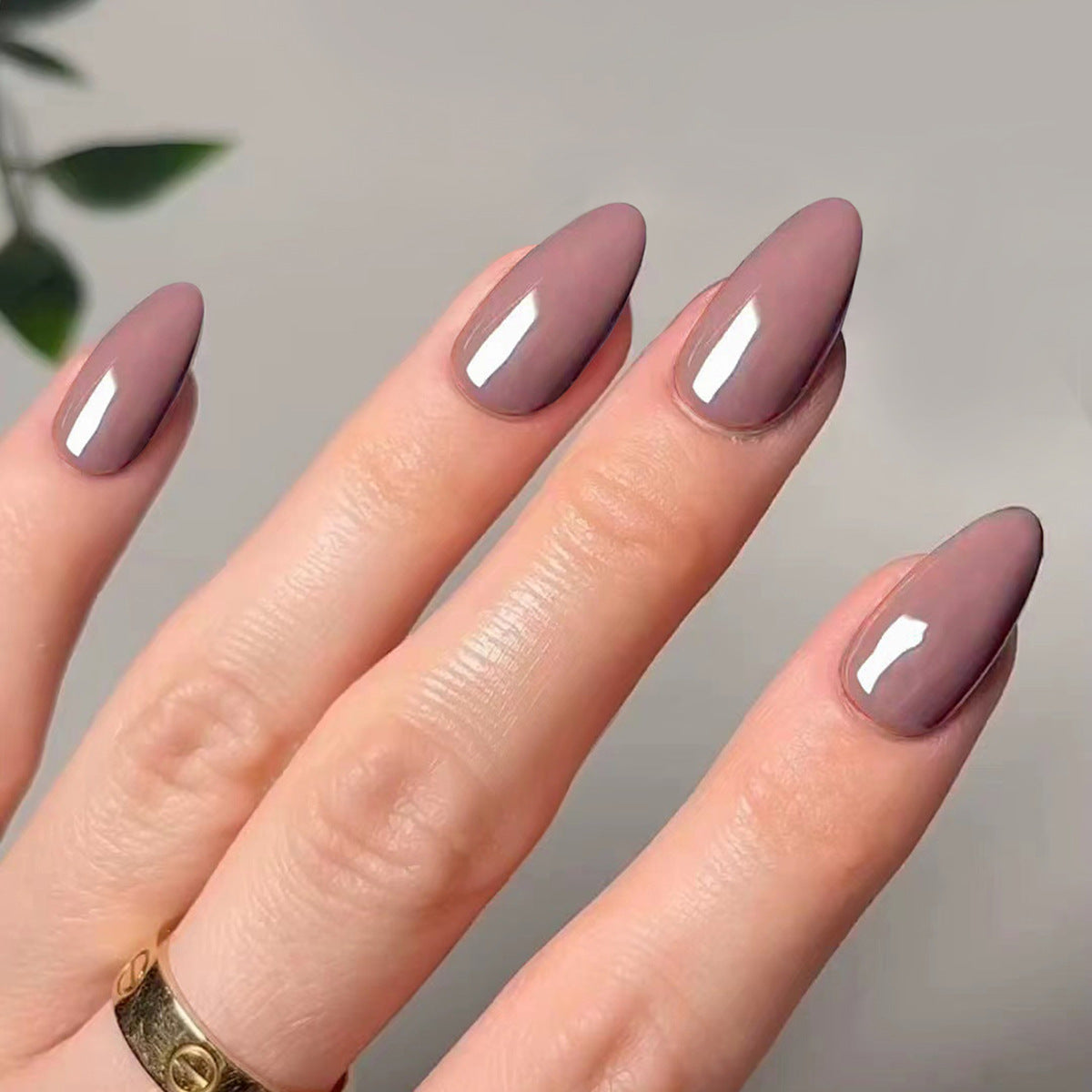 Glossy Solid Color press-on nail collection
