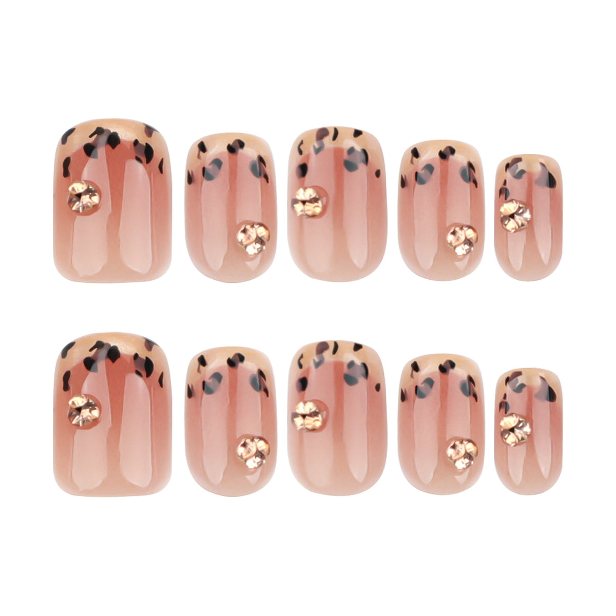 Maillard Leopard French 30-piece press-on nail set